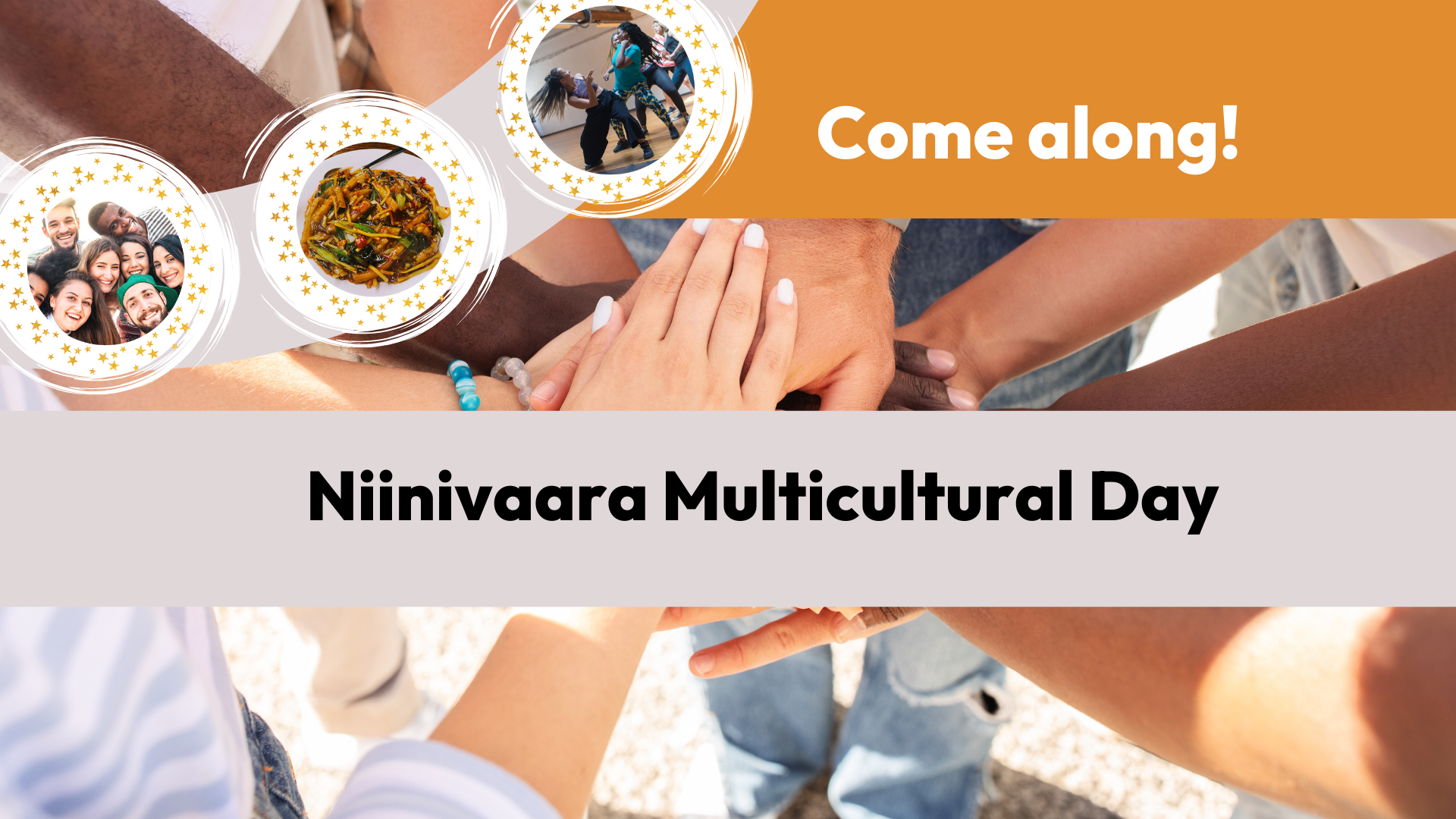 Niinivaara multicultural day